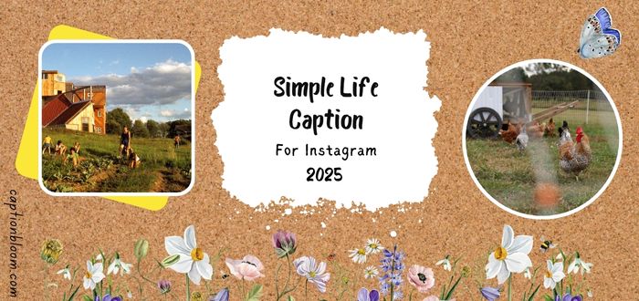 160-simple-life-captions-for-instagram