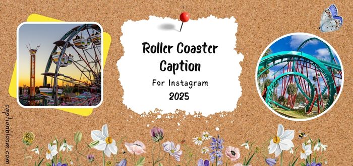 195-exciting-roller-coaster-captions