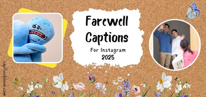 215-heartfelt-farewell-captions-for-instagram