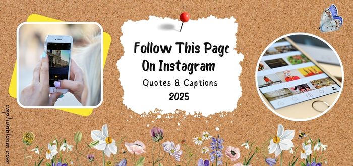 how-to-say-follow-this-page-on-instagram-quotes-and-captions