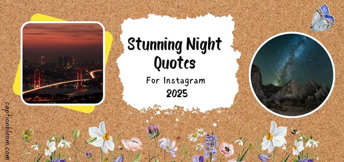 250+ Stunning Night Quotes For Instagram