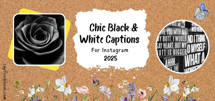 295+Chic Black & White Captions for Your Aesthetic