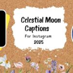 295+ Celestial Moon Captions & Quotes to Capture Night’s Magic