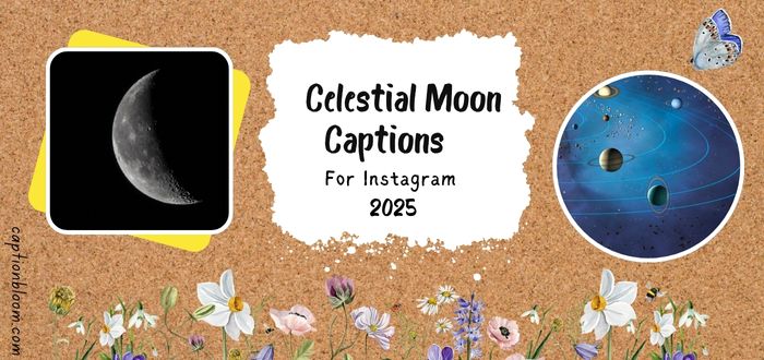 295+ Celestial Moon Captions & Quotes to Capture Night’s Magic